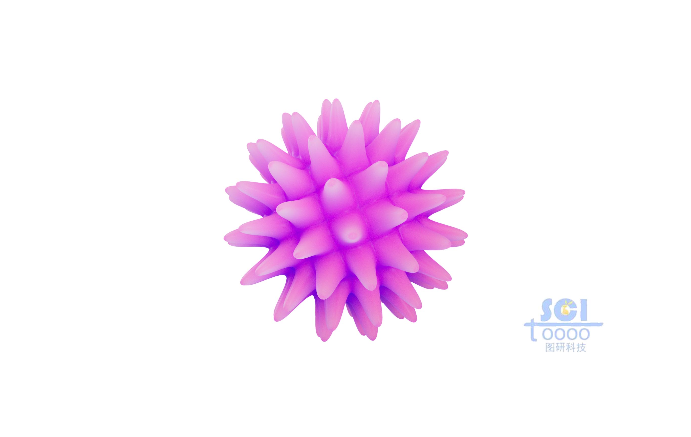 細菌結(jié)構(gòu)