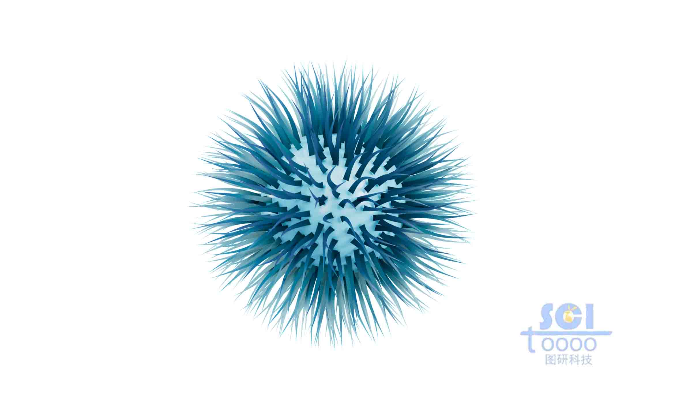 表面覆蓋毛發(fā)的納米球體