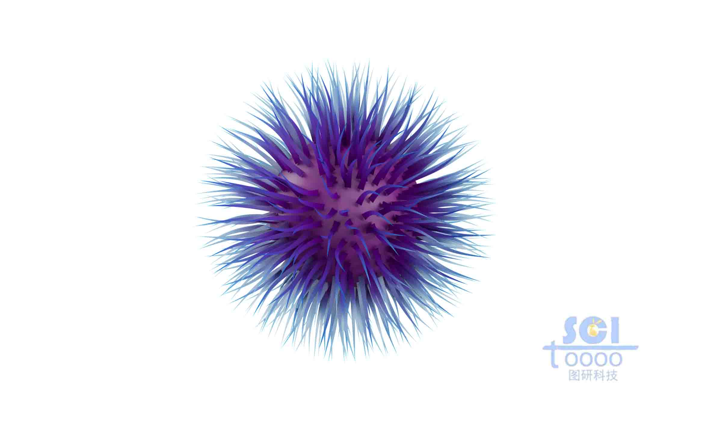 表面覆蓋毛發(fā)的納米球體