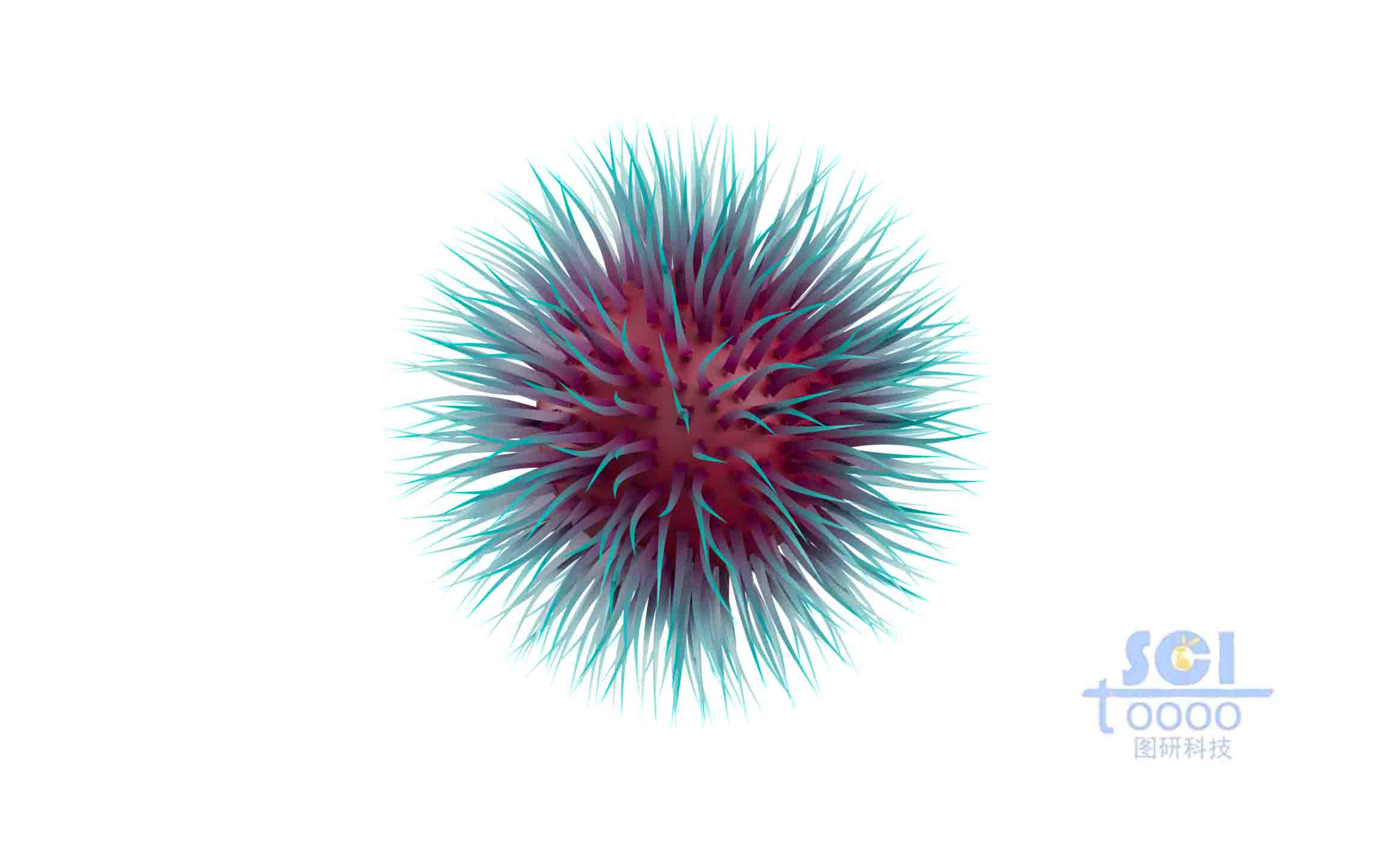 表面覆蓋毛發(fā)的納米球體