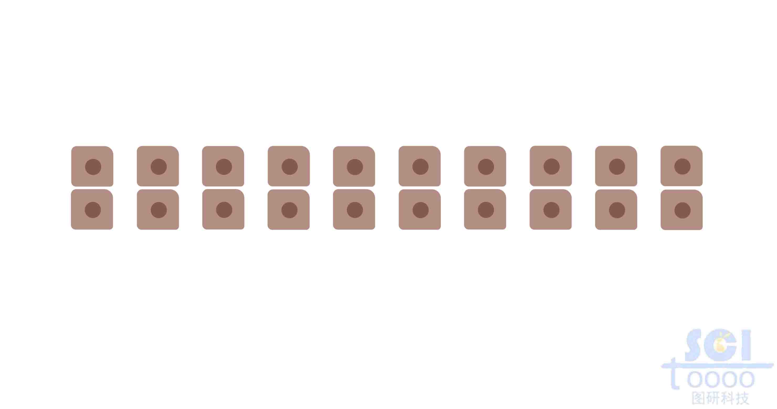 內(nèi)皮細胞