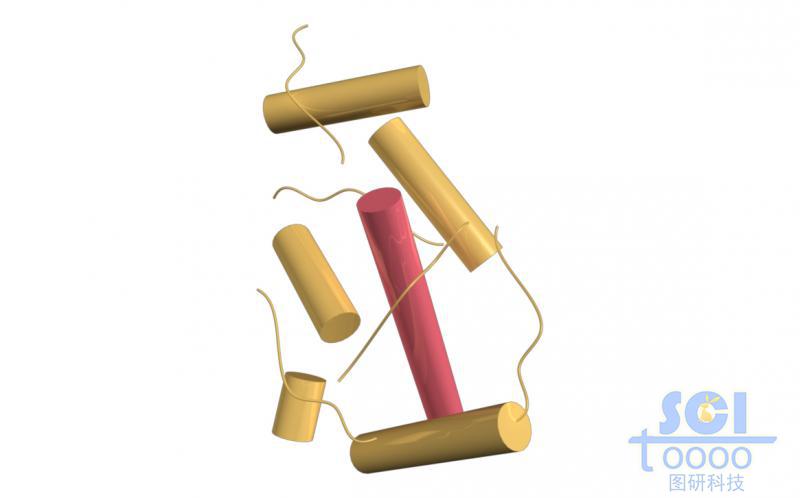 蛋白質(zhì)結(jié)構(gòu)