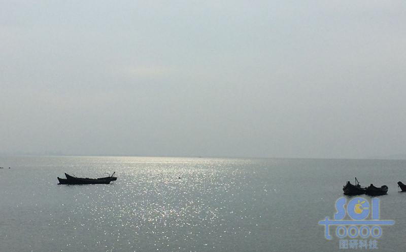 海水素材