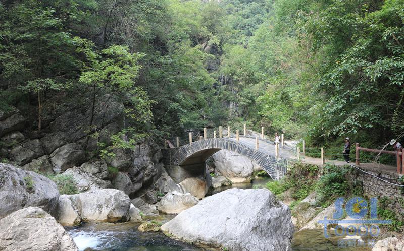 樹(shù)素材