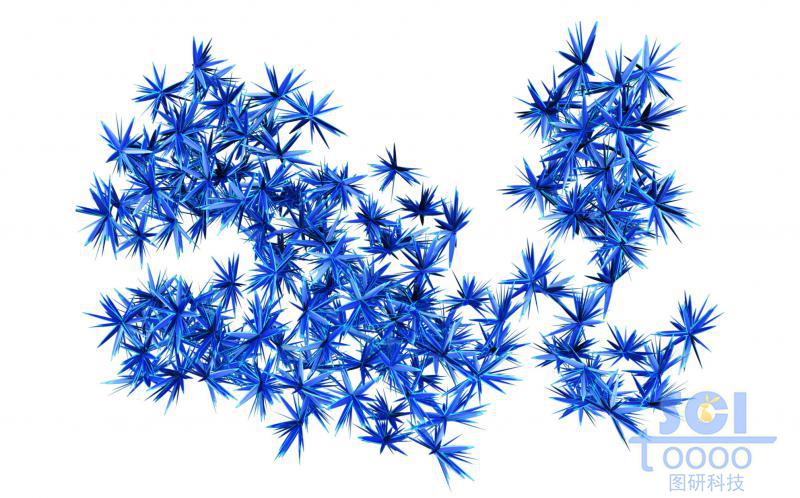 TTC4L-Pd4+ 八角茴香納米結(jié)構(gòu)