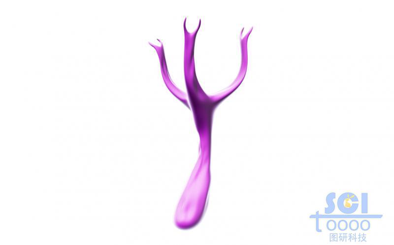 三個(gè)突觸的樹(shù)杈狀結(jié)構(gòu)