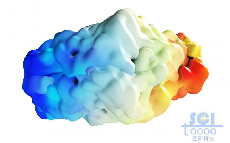 蛋白質(zhì)結(jié)構(gòu)