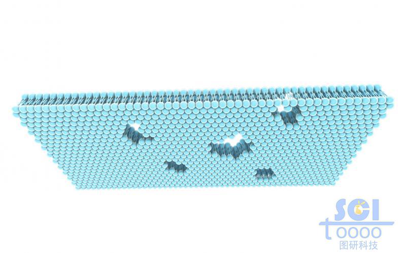 帶破損的磷脂雙分子層結(jié)構(gòu)