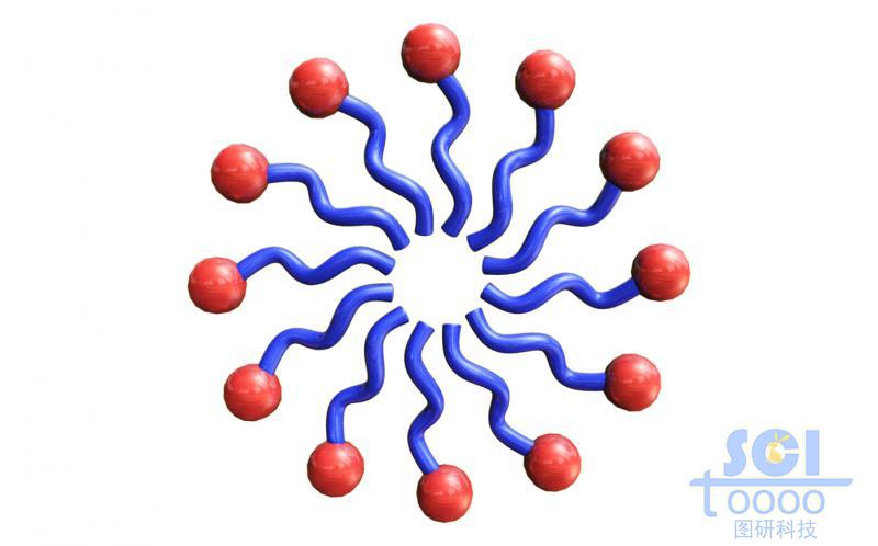 排成圓環(huán)的高分子鏈段示意結構