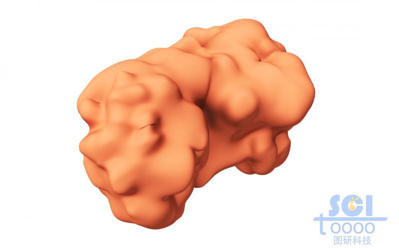 蛋白質(zhì)結(jié)構(gòu)