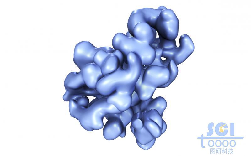 蛋白質(zhì)結(jié)構(gòu)